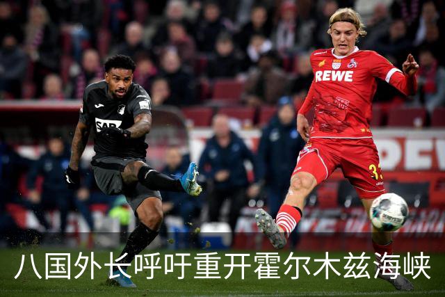 八国外长呼吁重开霍尔木兹海峡