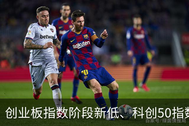 创业板指数阶段新低、科创50指数重挫 A股急跌后是风险还是机会？