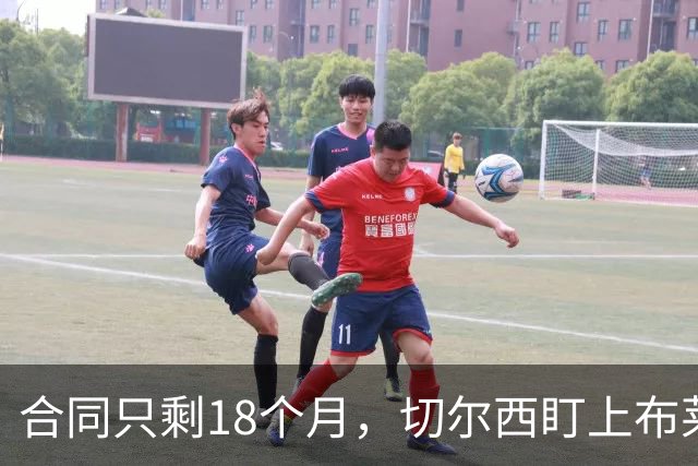 合同只剩18个月，切尔西盯上布莱顿23岁中场阿亚里