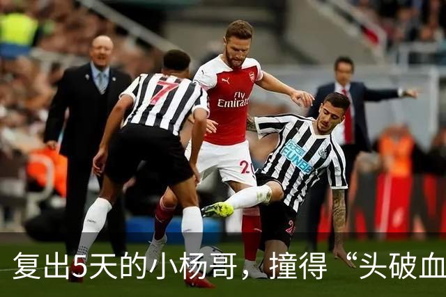 复出5天的小杨哥，撞得“头破血流”