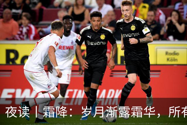 夜读丨霜降：岁月渐露霜华，所有期待终将抵达