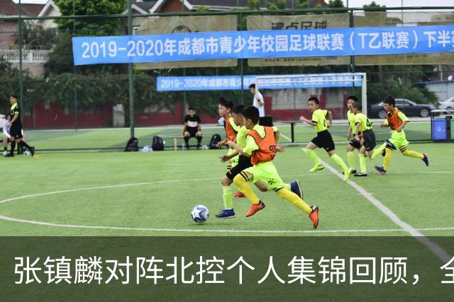 张镇麟对阵北控个人集锦回顾，全场得到28分4助攻