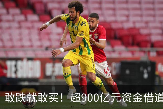 敢跌就敢买！超900亿元资金借道ETF蜂拥进场，除了沪深300，这些主题ETF也被大手笔买入