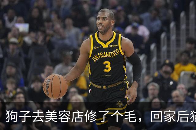 狗子去美容店修了个毛，回家后猫咪直接炸毛：这丑狗是谁？铲屎的，你接错狗了吧！