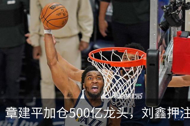 章建平加仓500亿龙头，刘鑫押注商业航天，多名牛散持仓曝光