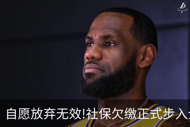 自愿放弃无效!社保欠缴正式步入全国统一处罚时代！11月1日起施行