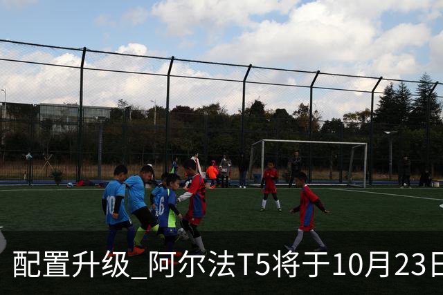 配置升级 阿尔法T5将于10月23日上市