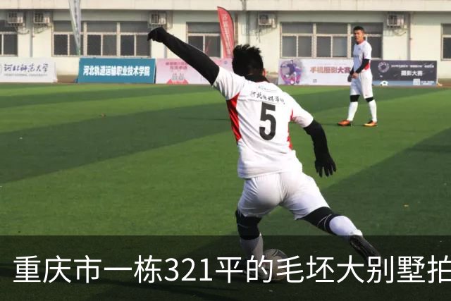 重庆市一栋321平的毛坯大别墅拍卖，被人145万元就买下了